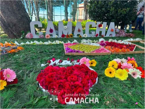 Camacha em Flor | 2024